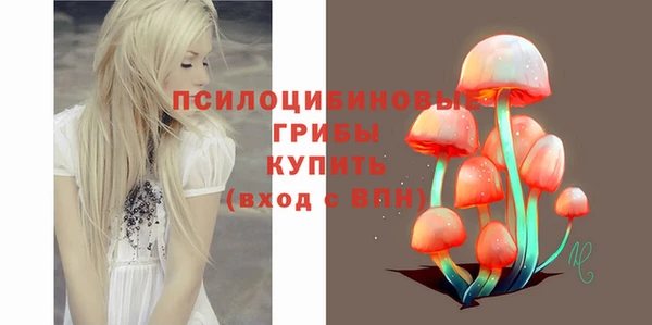 крисы Абинск