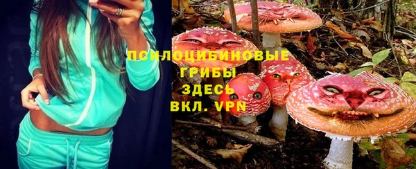 крисы Абинск