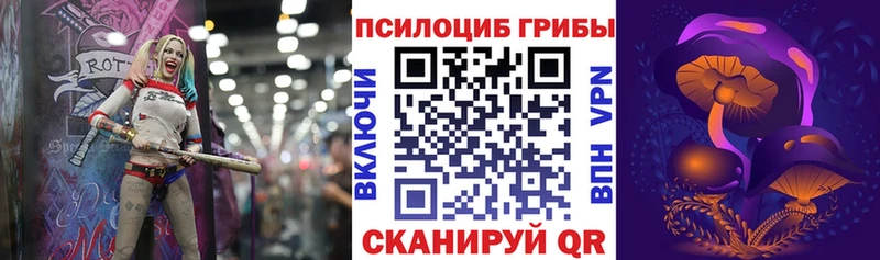 площадка наркотические препараты  Рассказово  Галлюциногенные грибы Magic Shrooms  купить наркотик 